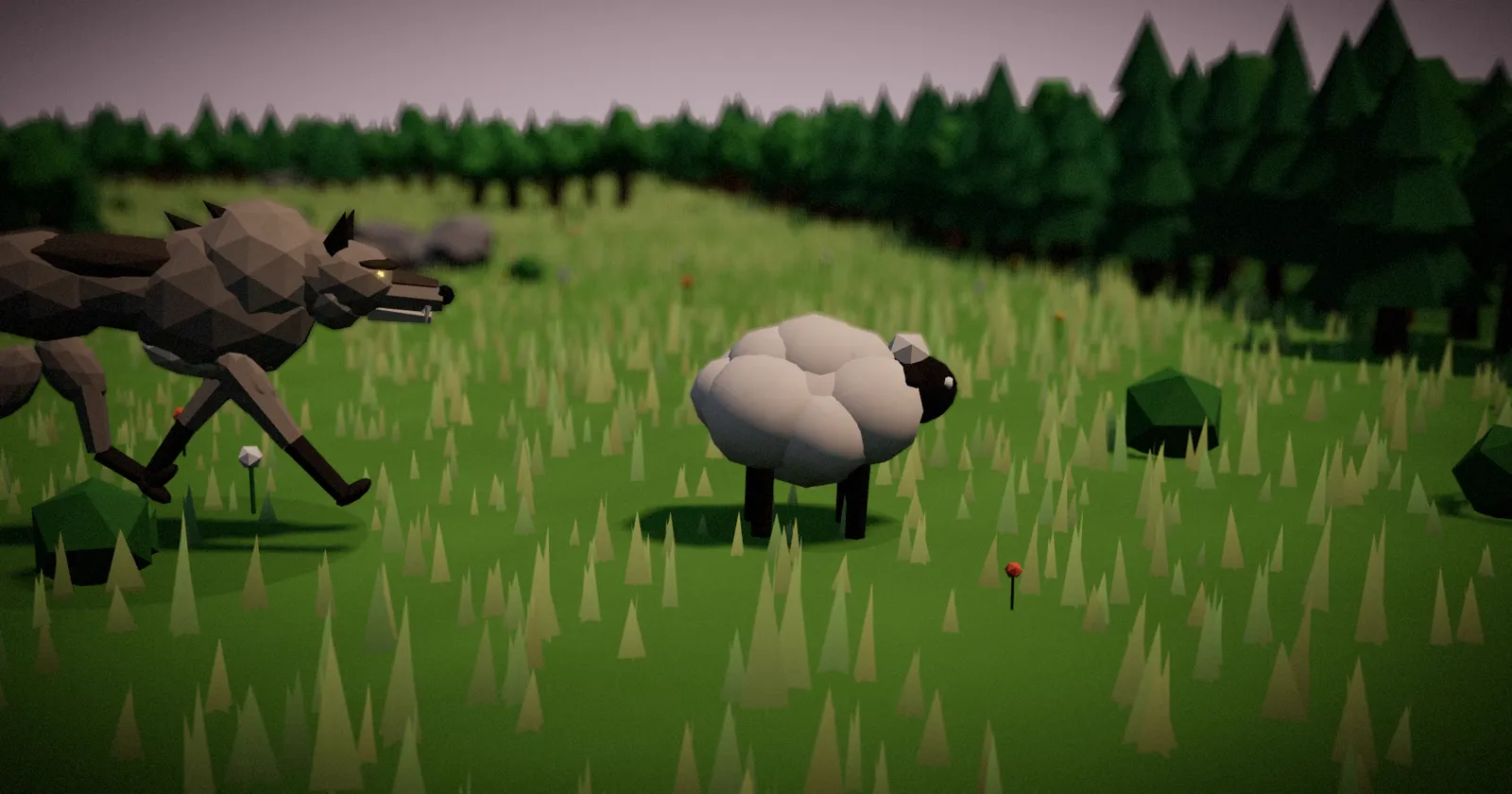 A wolf runs down a sheep in the open meadow